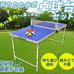 折りたたみ　卓球台の画像