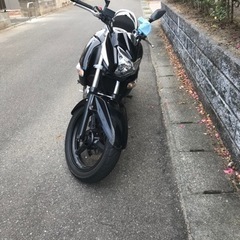 GSR２５０