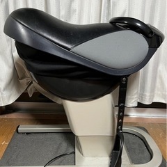 ロデオマシーン