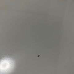 [3/2午前中まで] ニトリ　伸長式ダイニングテーブルセット　（四人がけ）の画像