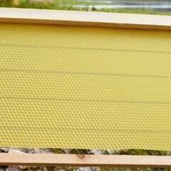 西洋蜜蜂用・【巣枠＋巣楚取り付けセット・850円】5枚以上お買い...