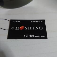 星野仙一モデル　サングラスの画像