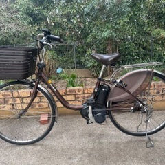 決まりました！電動自転車