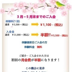 今年もやります！春の体験・入会キャンペーン‼️の画像