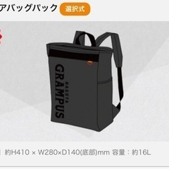 未使用グランパススクエアバッグパックの画像