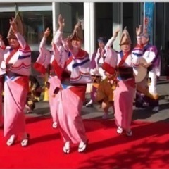 さいたま市　阿波踊り「宮美連」メンバー募集中！