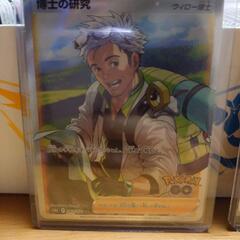 ポケモンカードゲーム 博士の研究 ウィロー博士 SR HRの画像