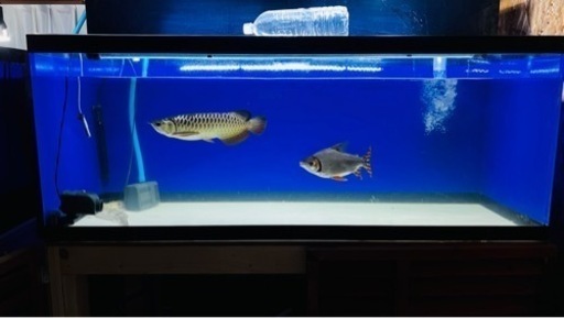 1500アクリル水槽フルセット