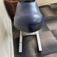 フィットネス機器　乗馬