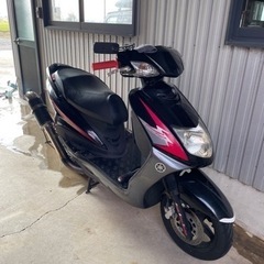シグナス　1型