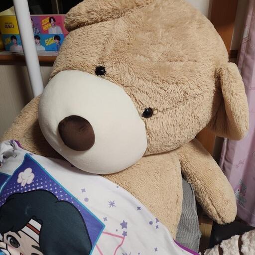 おっきなくま今日取りくる方4300円します。