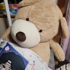おっきなくま今日取りくる方4300円します。