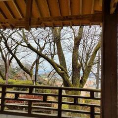 毎週日曜日にバドミントン − 熊本県