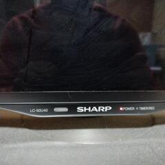 テレビの画像
