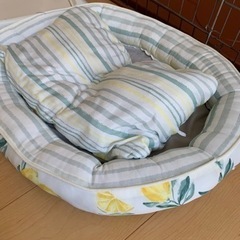 近々処分なのでお早めに　あげます☆ 犬用ゲージ　トイレ　ベッドの画像