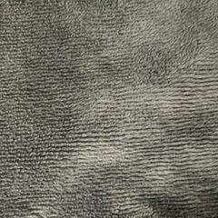 レディーストレーナーMの画像