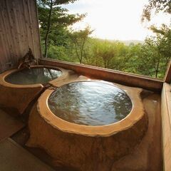 接客スタッフ募集！阿蘇の森に佇む、源泉かけ流し温泉付きの隠れ家的な宿です。(フロント、清掃スタッフも同時募集)の画像