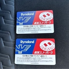 高鷲スノーパーク　ダイナランド　共通リフト券　1日券2枚（大人）