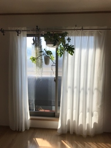 IKEA カーテン　縦210×横140 (2枚)