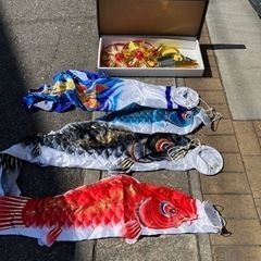 鯉のぼり