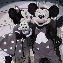 明日ディズニーに一緒に行きませんか？