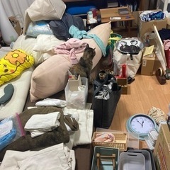 980円企画の画像