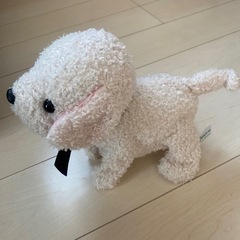 美品 ココさかだちしての画像