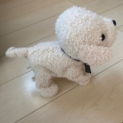 美品 ココさかだちしての画像