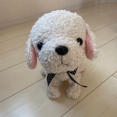 美品 ココさかだちしての画像