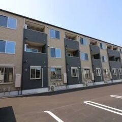 津守マナーハウス304🏡敷金ゼロ、ネット使用料無料、宅配ボックス...