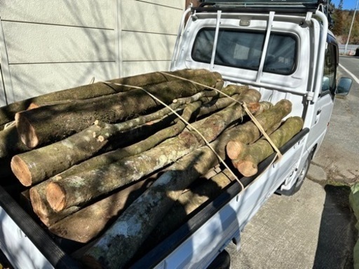 薪　未乾燥　樫木