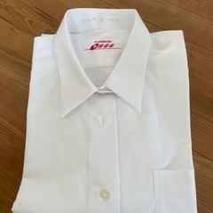 女子ワイシャツ(半袖)