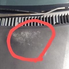 個人！売切☆テリオスキッドの画像