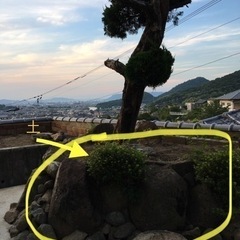 庭石　差し上げますの画像