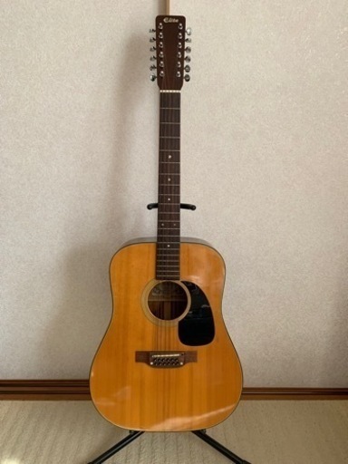 12弦アコギ Elite WG25