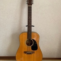 12弦アコギ Elite WG25