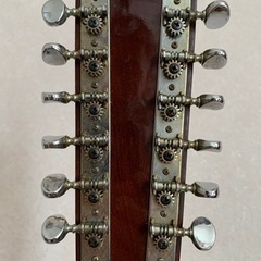 12弦アコギ Elite WG25