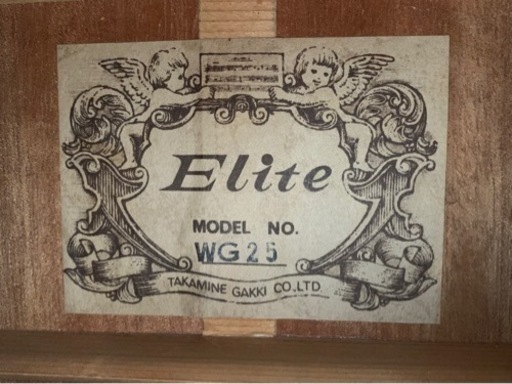 12弦アコギ Elite WG25