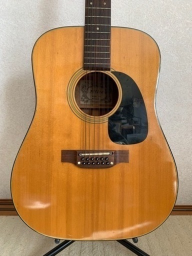 12弦アコギ Elite WG25