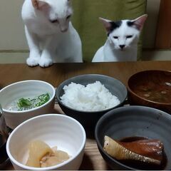 ペット共生型障害者グループホ－ム（男性棟） - シェアハウス