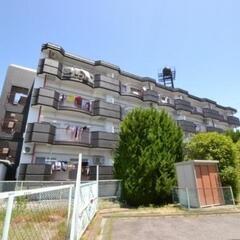 🌹🌹仲介手数料無料！✨大家が直接募集⭕ペットと住めるマンション🎵...