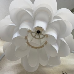 花びらのような照明カバーの画像