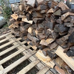 乾燥薪　キャンプに