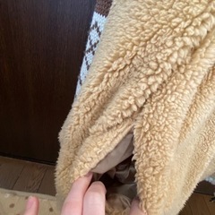 Body Globe レディース ニットパーカー アウター  フリーサイズの画像
