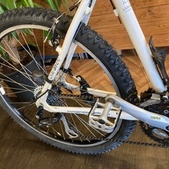 LOUIS GARNEAU XC CASPER 前後タイヤ・チューブ新品！】3×8速 26インチ