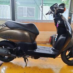 🌿AF67 トゥデイ❗🌿