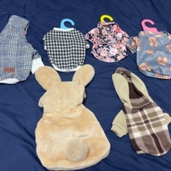 【値下げ】ワンちゃんのお洋服【新品】の画像