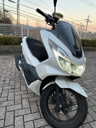 駆け引き無し！PCX 125 JF56 高槻