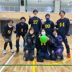 ソフトバレーボールのメンバー募集！！ - スポーツ