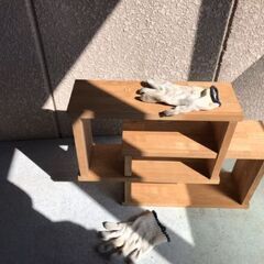 アンティーク 家具の画像